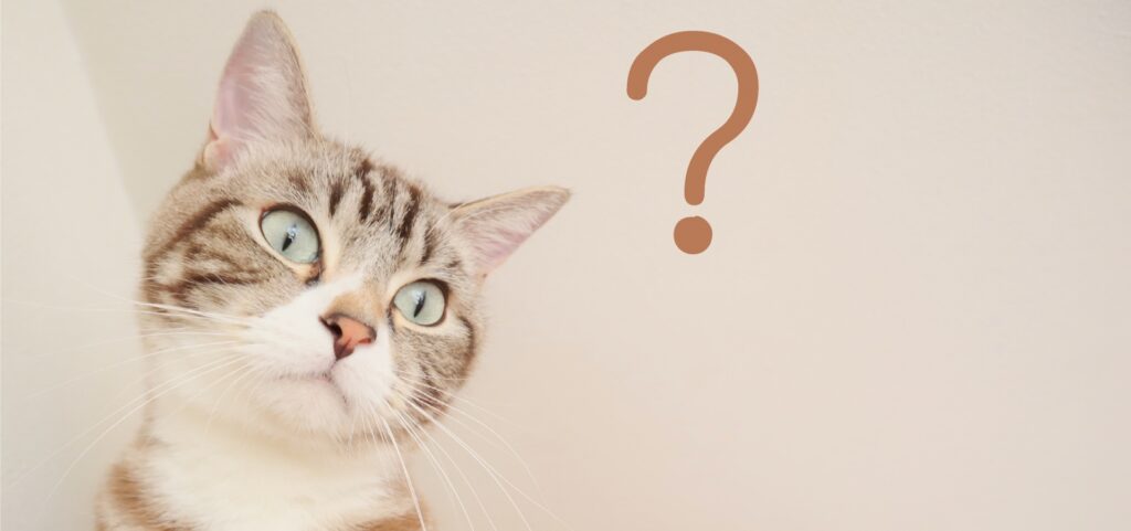 AI × ハイブリッドメディア 収益化メソッド 1つのメディアを軸に広がる“7つの収益ポケット”の作り方